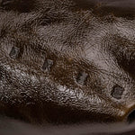 color:dark olive_ansicht:000000000000006_dokar:Z07_dokar-text:online inhalt